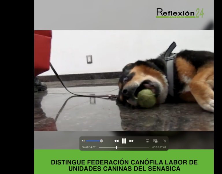 #CápsulaR24 #Noticias #Hoy #SantoDomingo #RanchoIzaguirre #Harfuc #ÁreasForestales #Nezahualcóyotl #UnidadesCaninas #PoderJudicial